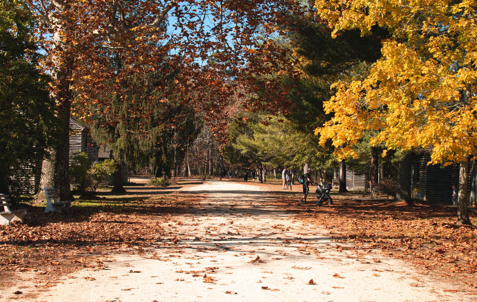 Beautiful autumn scene with a leaf-lined path and vibrant fall foliage in a peaceful park.