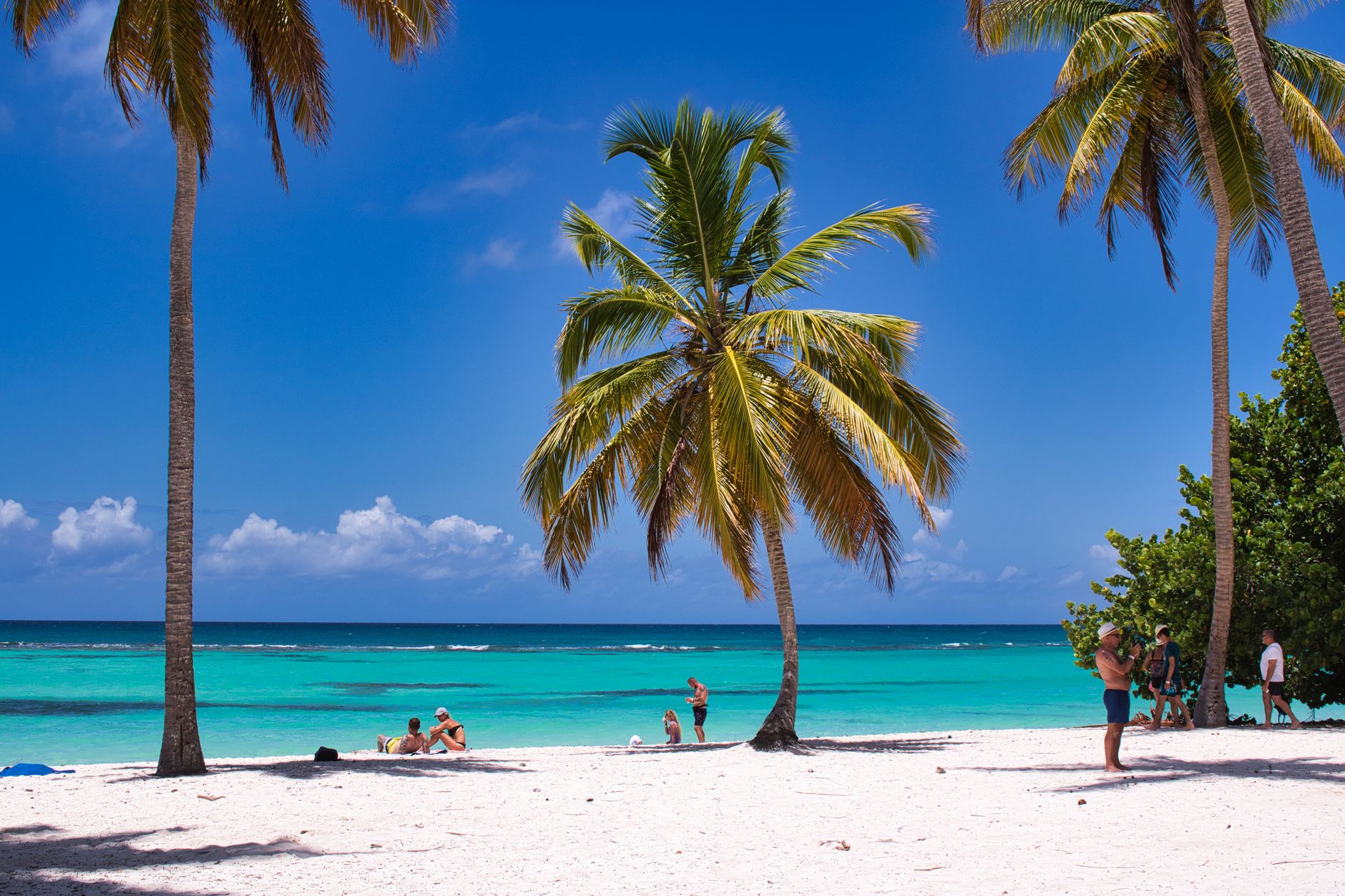 A serene tropical beach scene with palm trees, azure waters, and people relaxing under the sun.