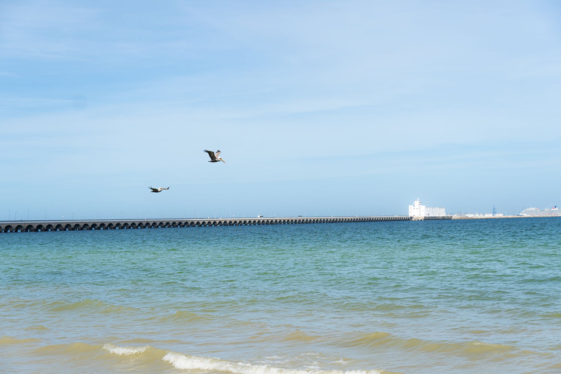 Seagulls soar over the turquoise waters and long pier in Progreso, Mexico.