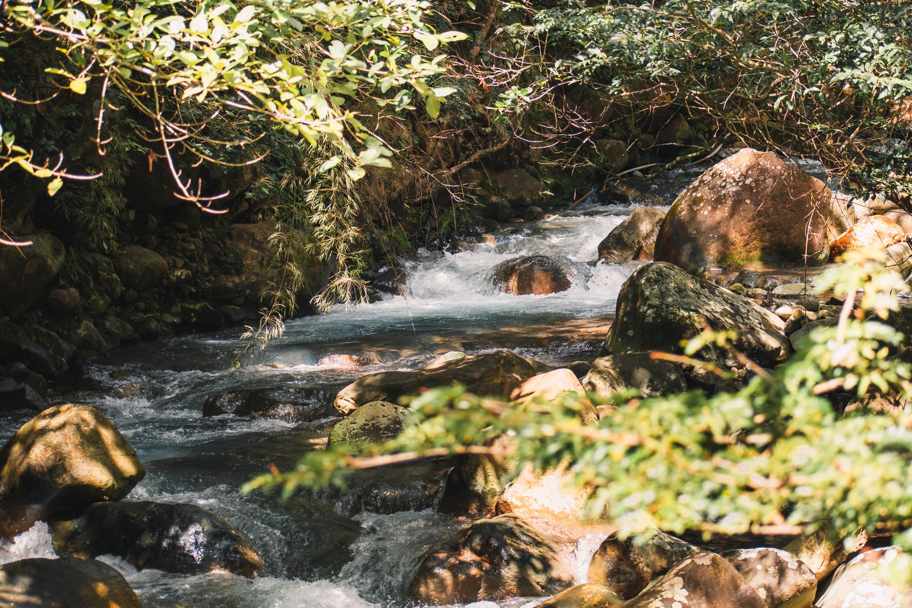 Serene view of a river flowing through a lush forest in Costa Rica, Guanacaste Province.