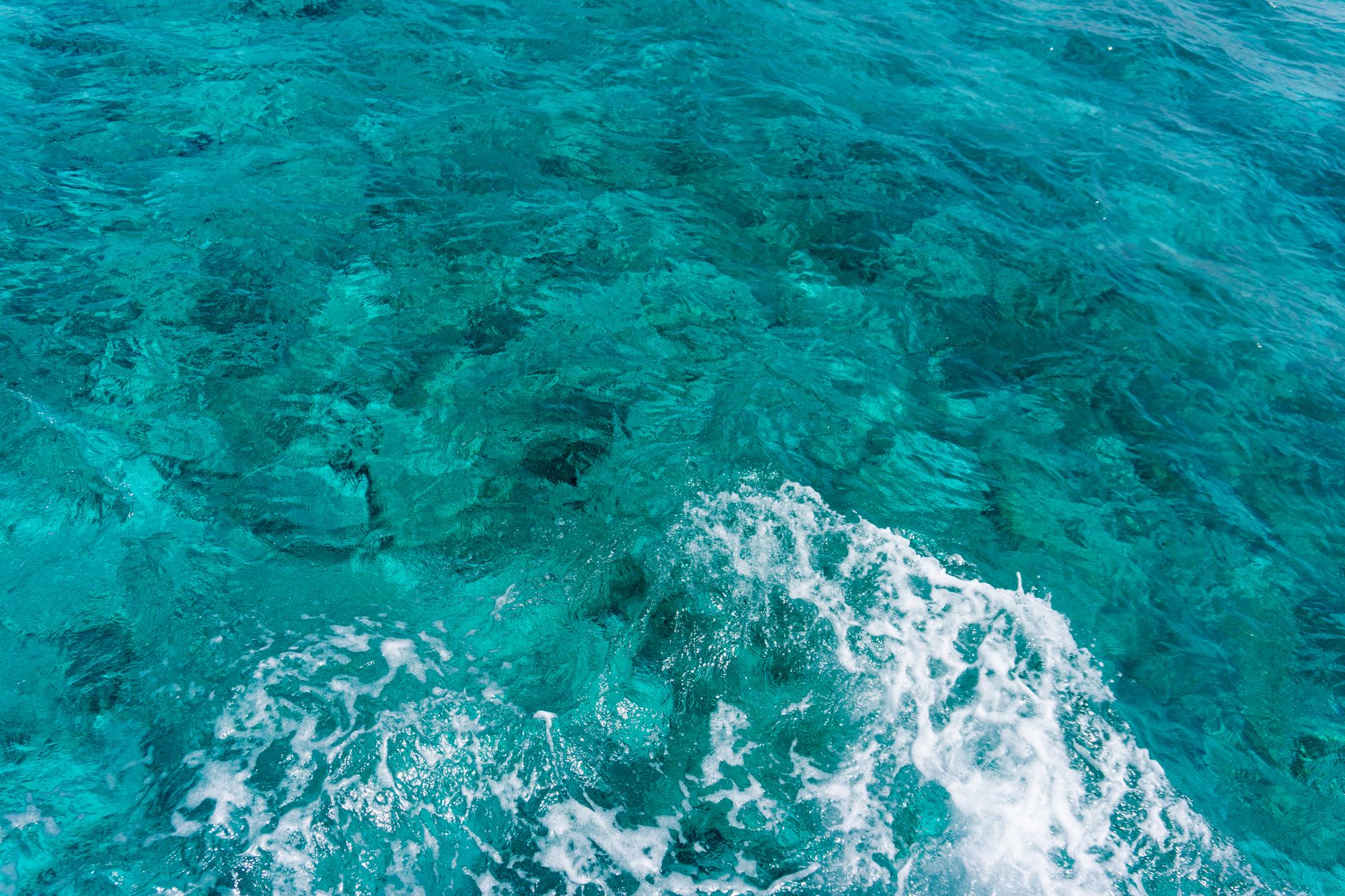 A captivating view of clear turquoise ocean waves crashing over a vibrant coral reef.