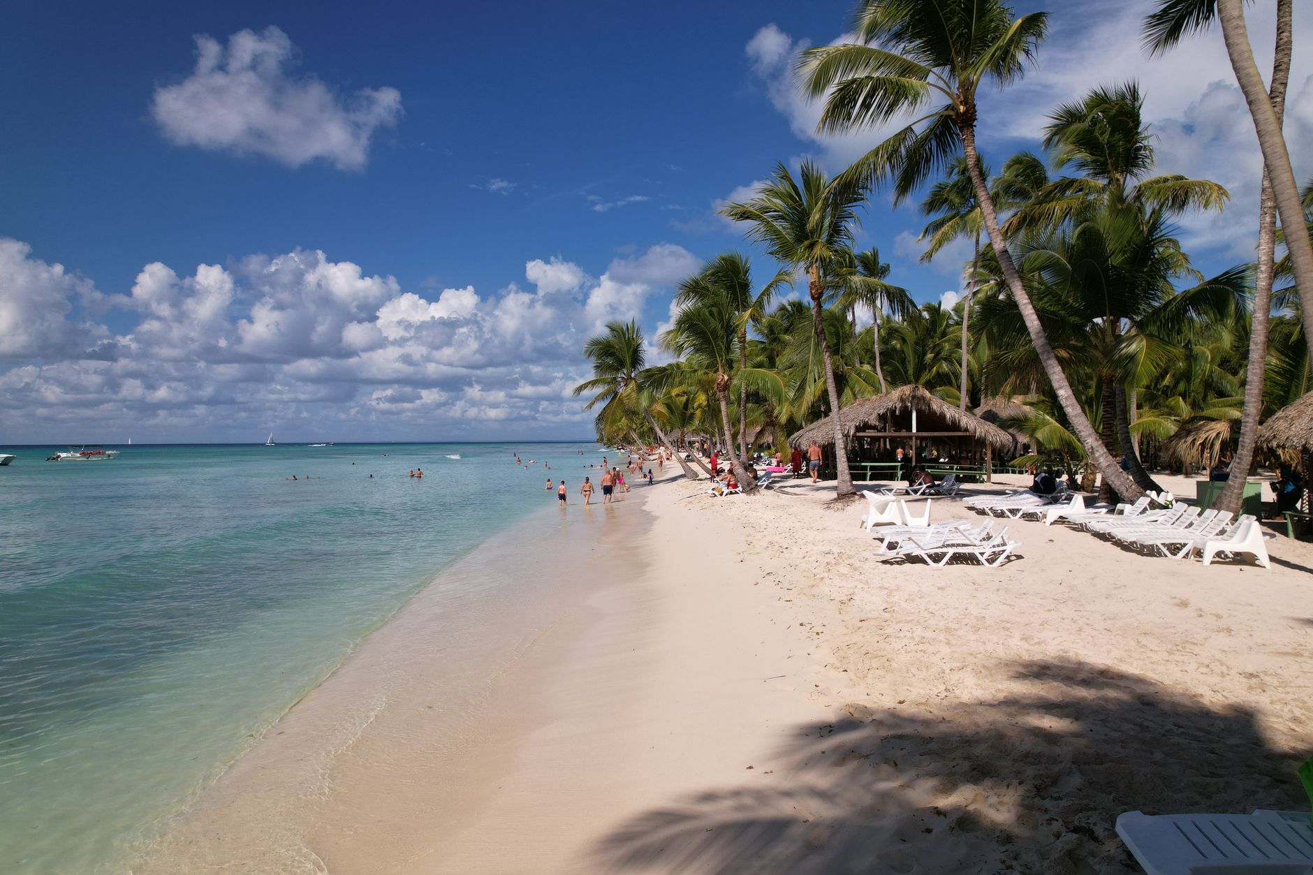 A pristine beach with palm trees in La Altagracia, Dominican Republic, ideal for a tropical summer vacation.