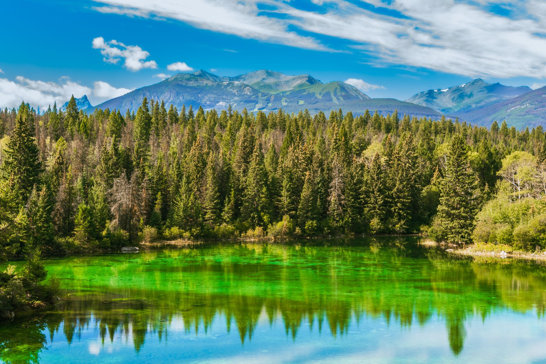 Beautiful emerald lake surrounded by lush forest in Jasper National Park, Alberta.