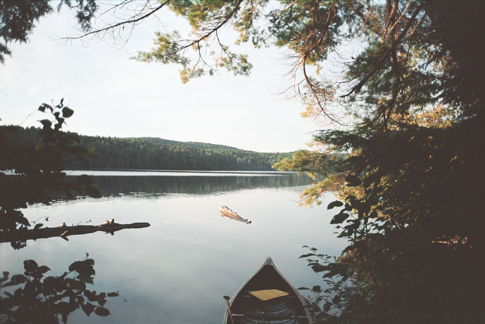 Serene scene of a wooden canoe on a tranquil lake in Algonquin Park, surrounded by lush trees.