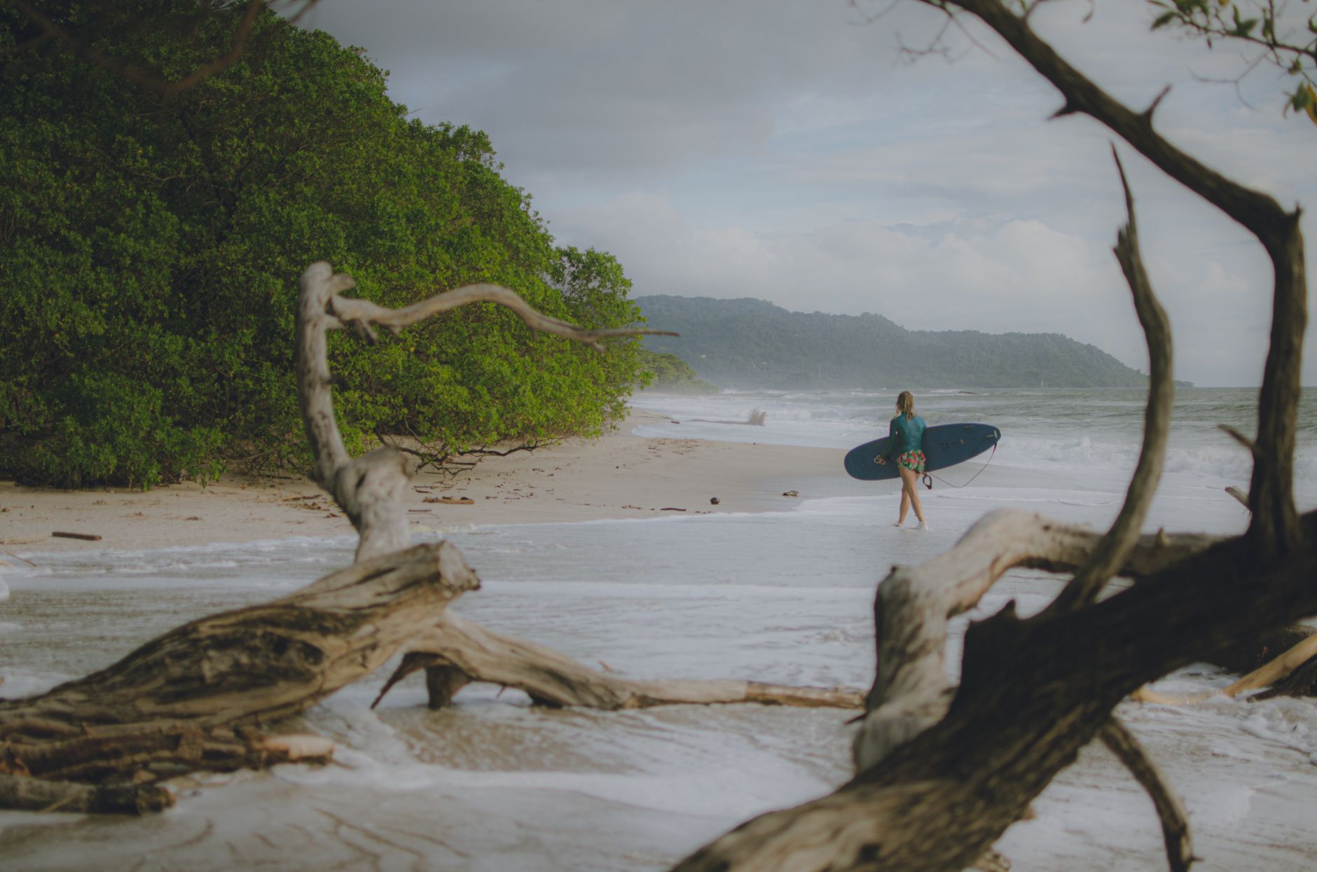 Surfer with board walks along tranquil Tamarindo Beach in Costa Rica