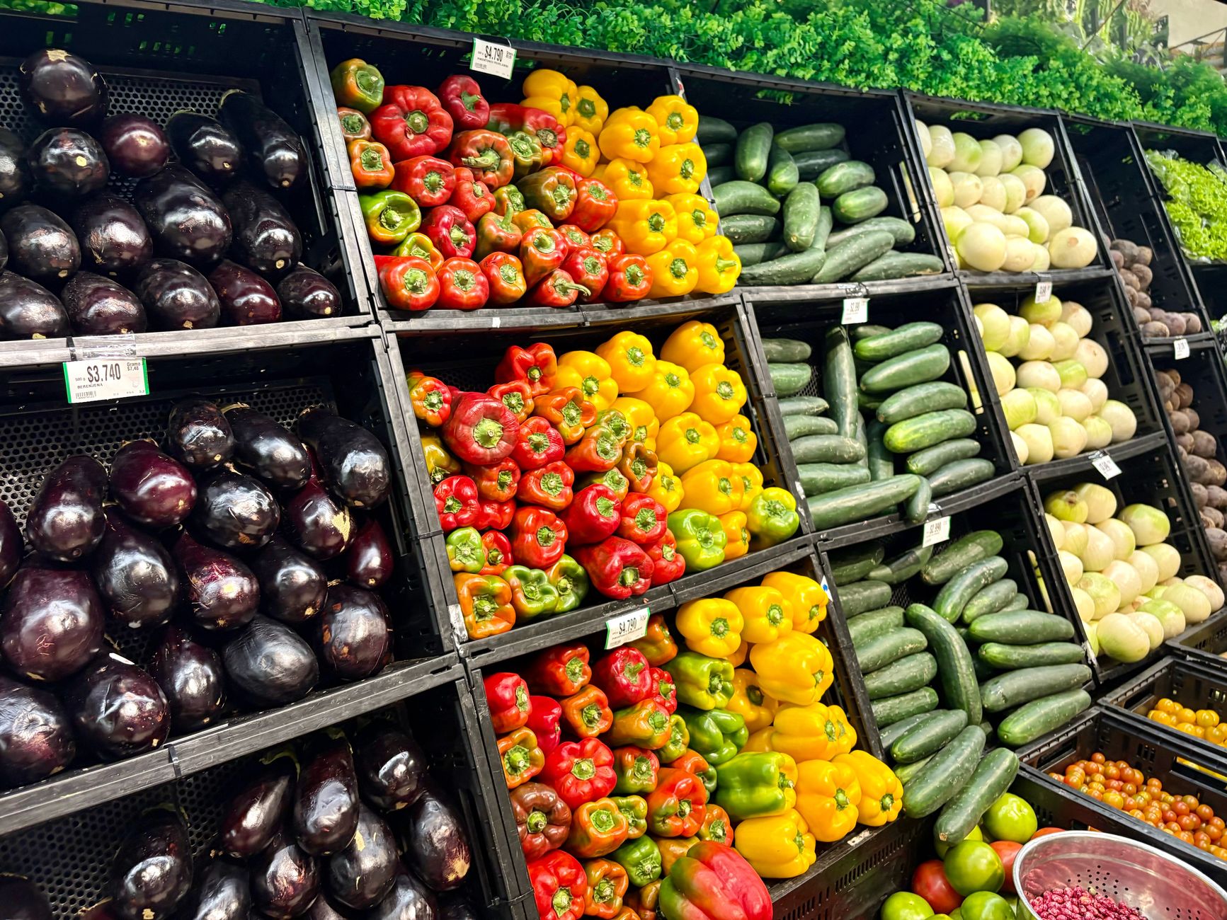 Colorful array of fresh vegetables in a supermarket aisle, featuring peppers, cucumbers, and eggplants.