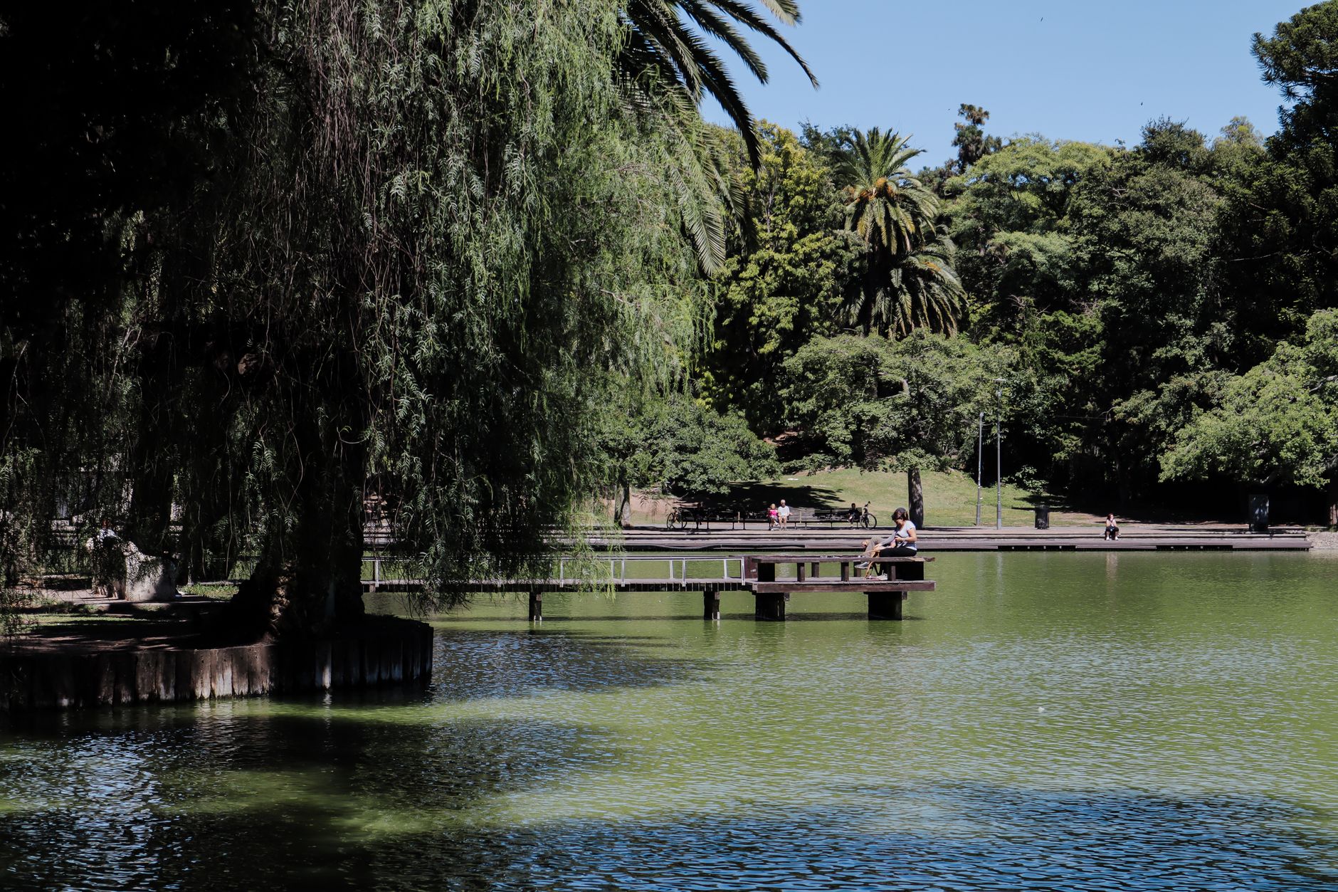 Peaceful scene of a person at a lakeside in Parque de la Independencia, Rosario. Vibrant greenery and calm waters.