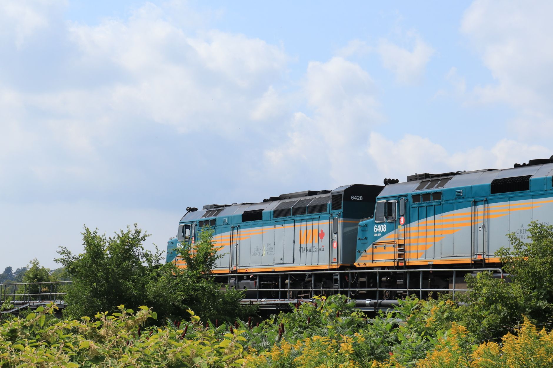 A vibrant train travels through lush greenery under a bright sky in Toronto, Canada.