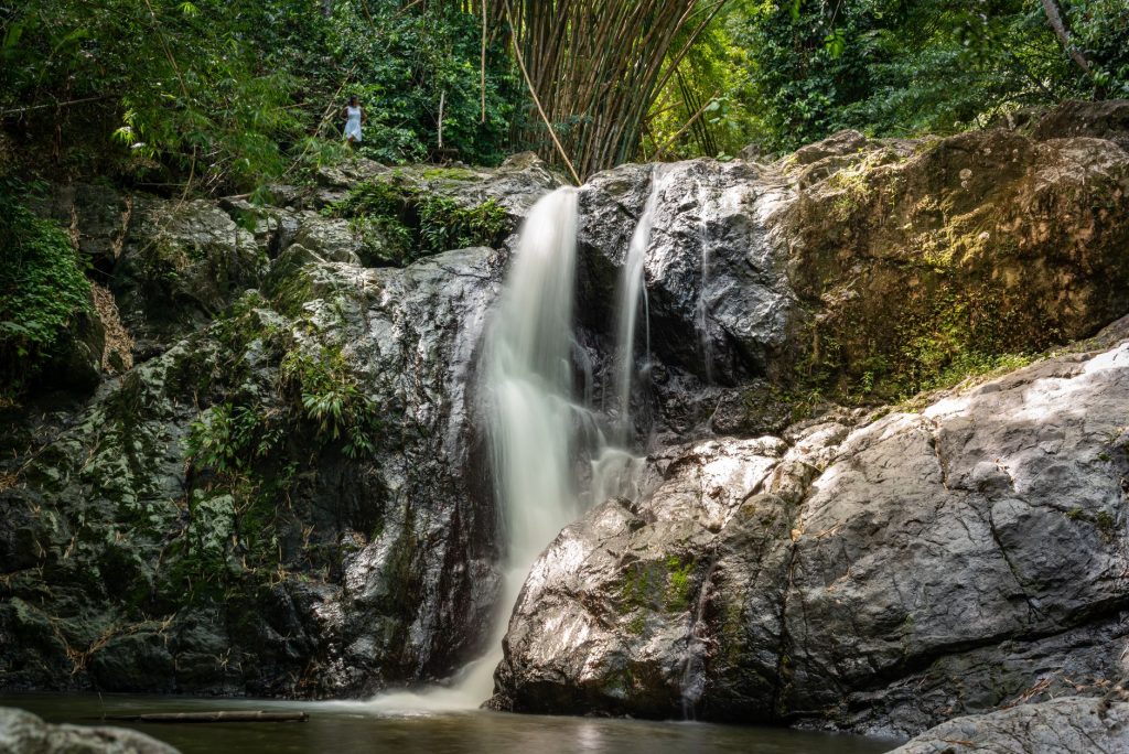 Discover the tranquil beauty of a waterfall nestled in Tobago's vibrant jungle scenery.