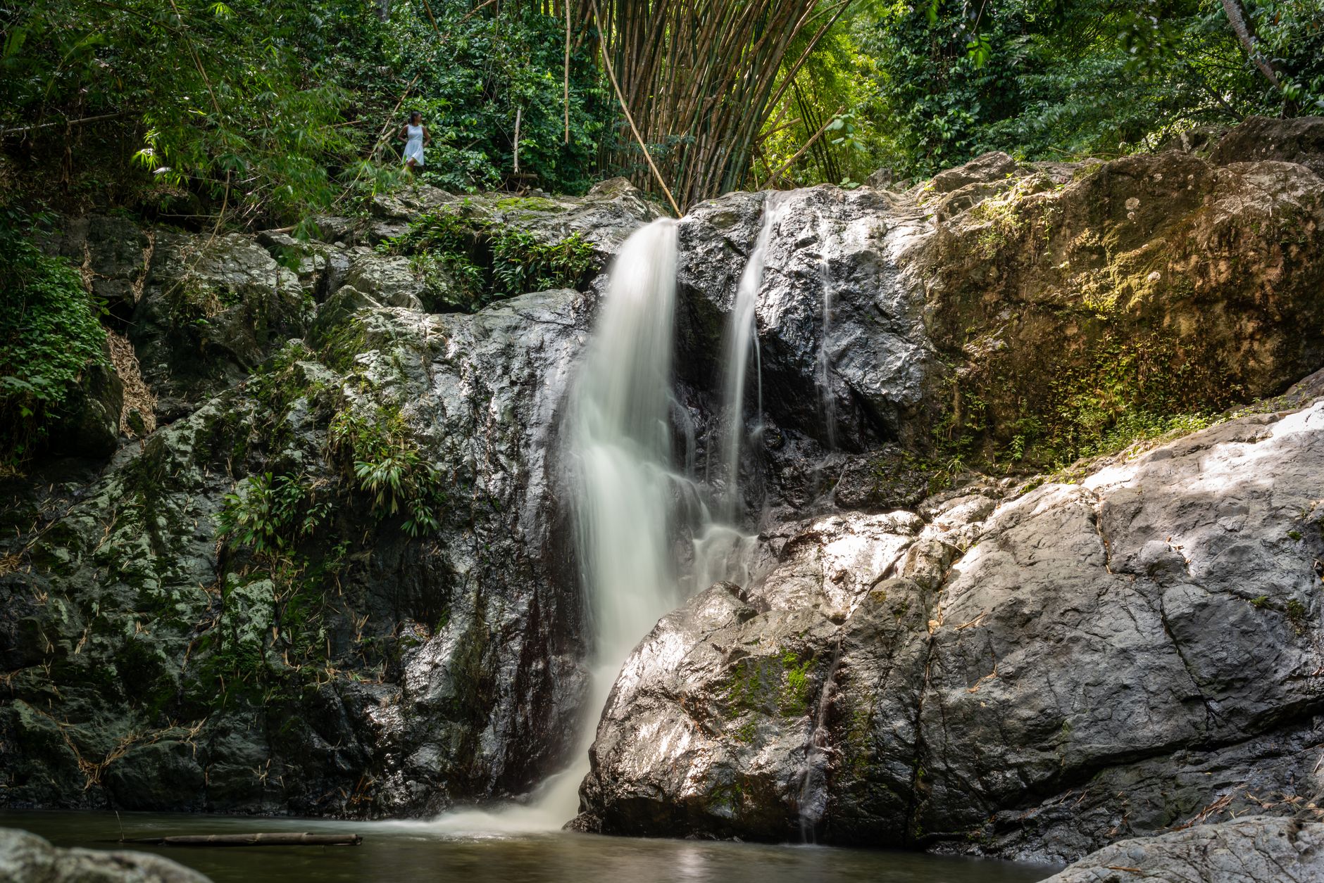 Discover the tranquil beauty of a waterfall nestled in Tobago's vibrant jungle scenery.