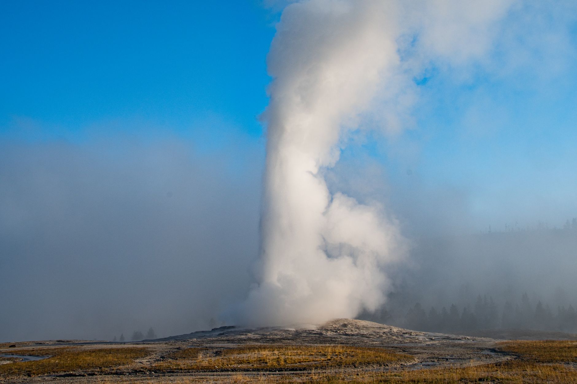 Capturing the stunning eruption of Old Faithful geyser in Yellowstone National Park, USA.