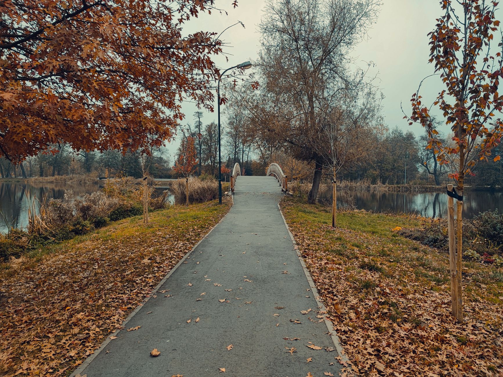 A peaceful park path lined with autumn leaves leading to a bridge over a serene lake.