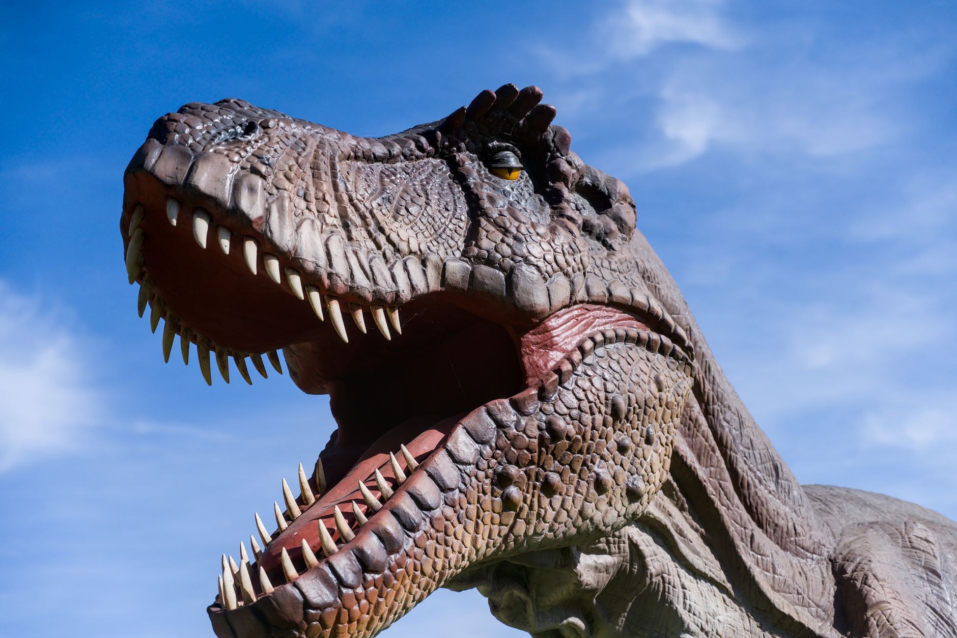 Realistic T-Rex model with sharp teeth and detail under a clear blue sky.