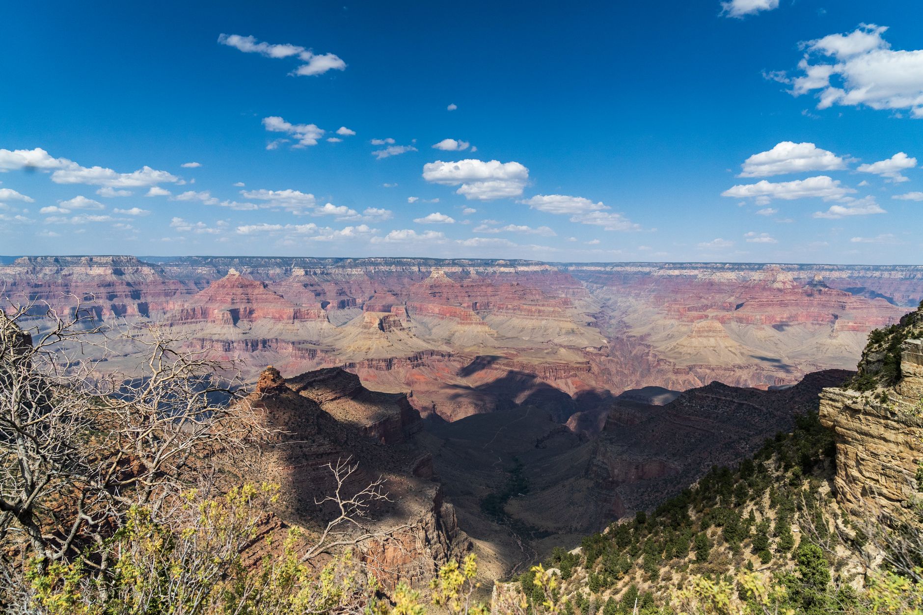 Breathtaking landscape of the Grand Canyon with vibrant rock formations and clear skies.