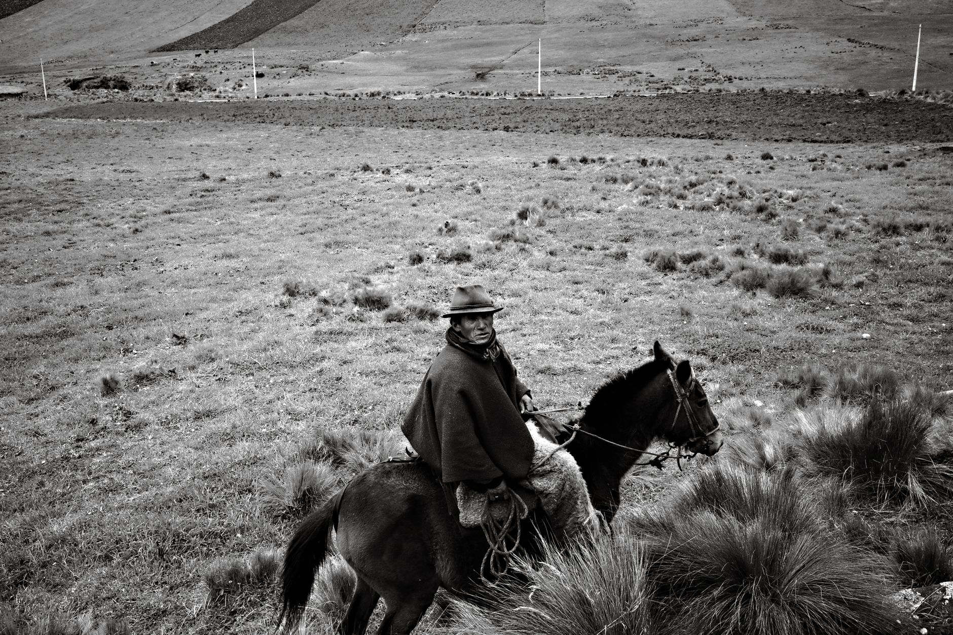 A traditional Andean cowboy riding through the rugged landscapes of Ecuador's highlands.