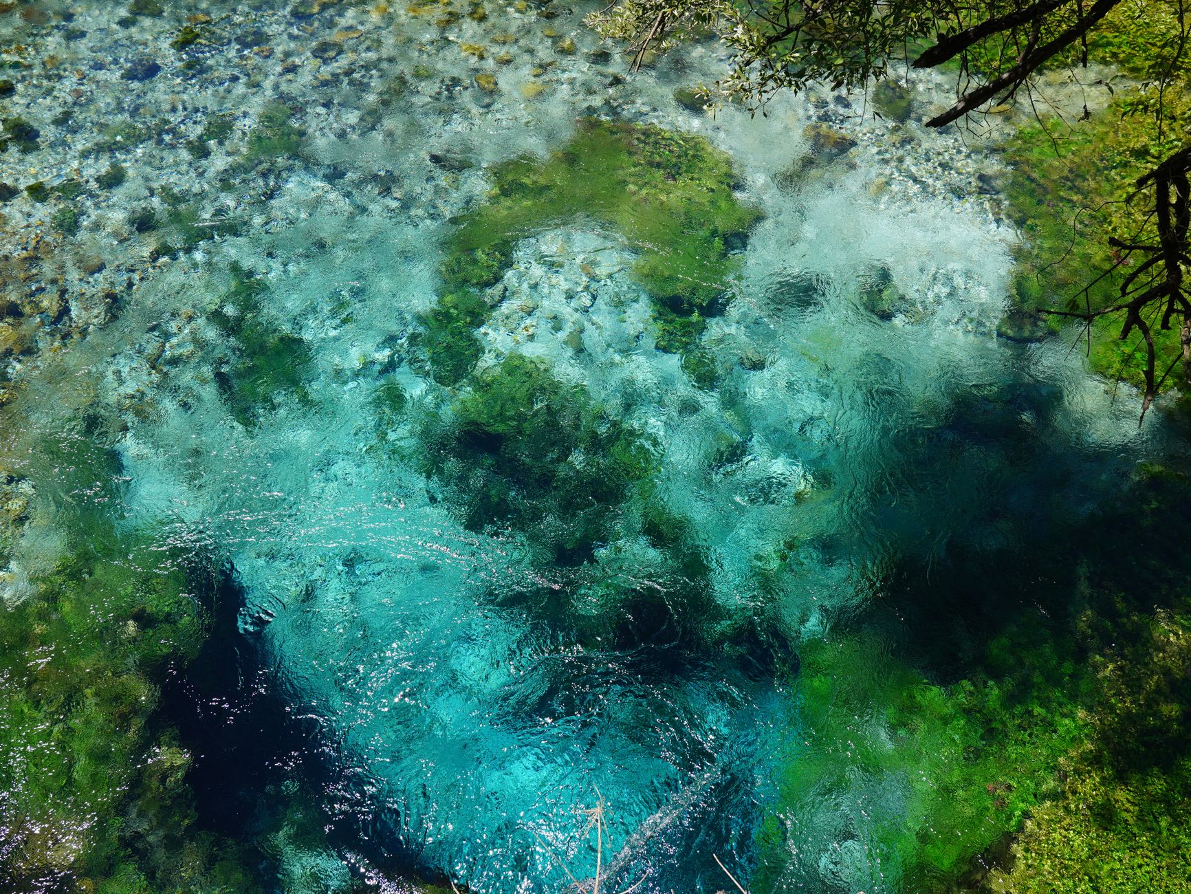 Overhead view of a striking blue and green freshwater pool showcasing natural beauty.
