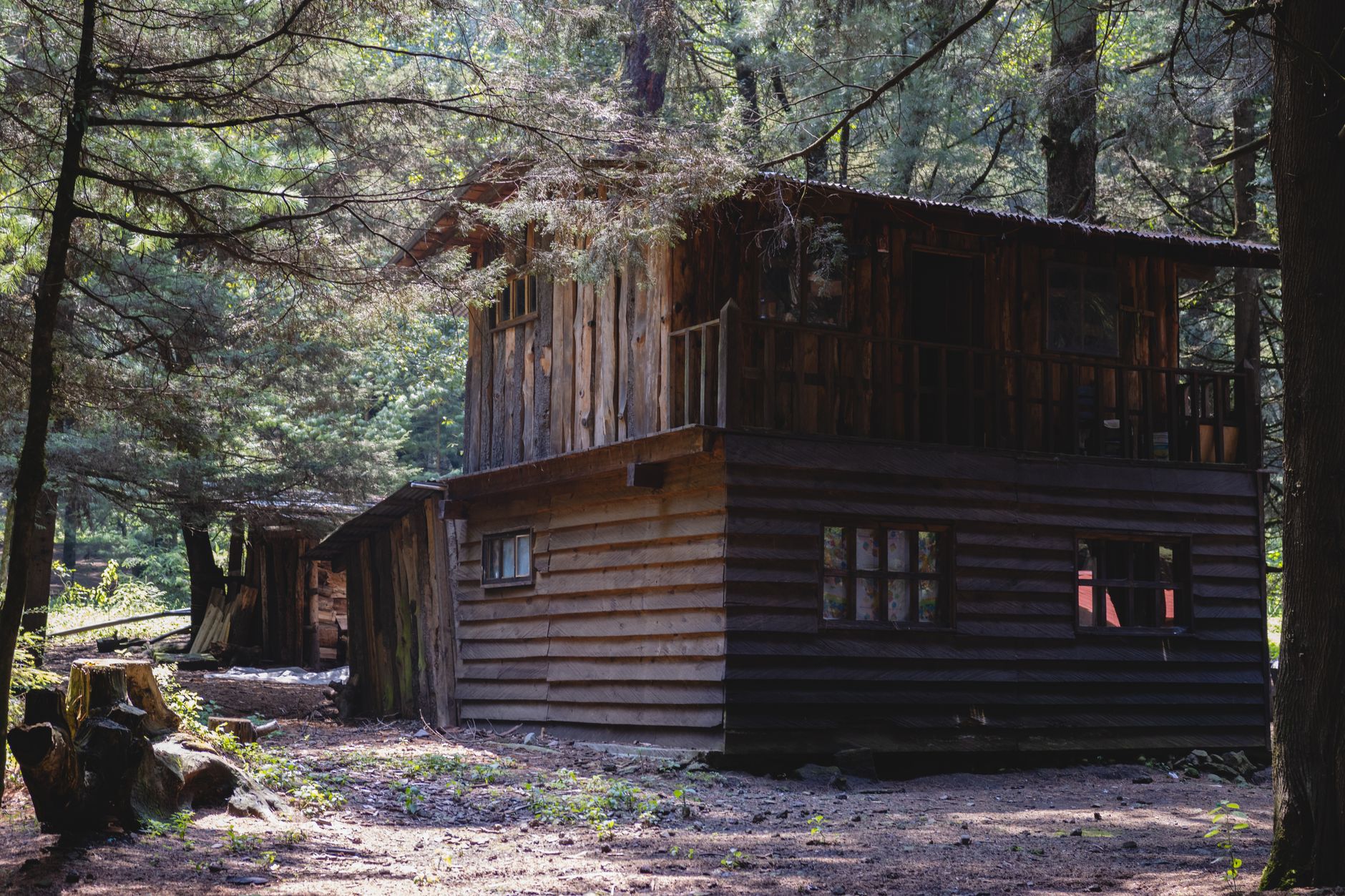 A secluded wooden cabin in a lush forest near Ciudad de México, perfect for an escape.