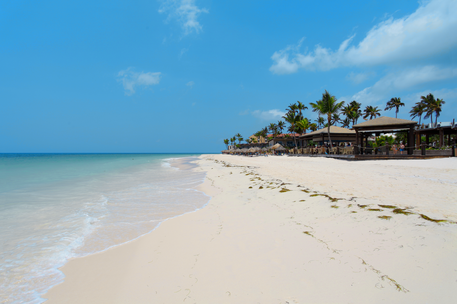 Relaxing view of a tropical beachfront in Oranjestad, Aruba with palm trees and clear blue waters.
