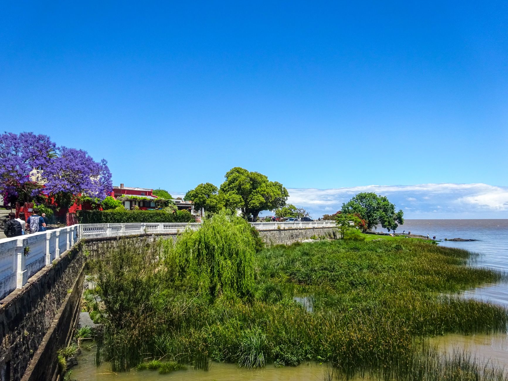 Discover the vibrant waterfront of Colonia del Sacramento with lush greenery and historic charm.