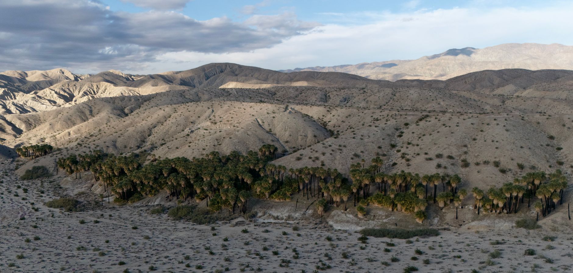 Scenic aerial view of the arid desert landscape with palms in Willis Palms, California.