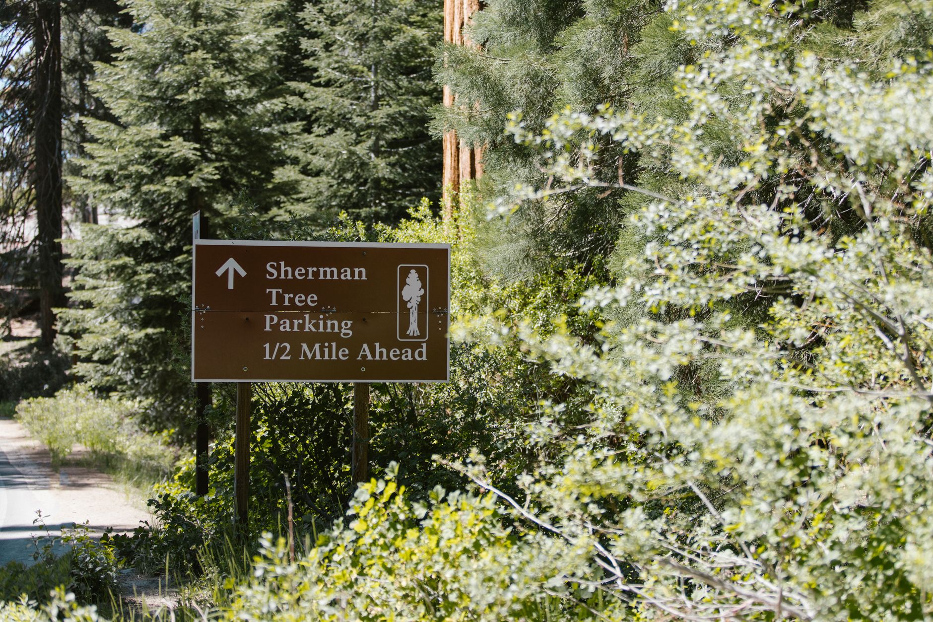Sign indicating Sherman Tree parking is half a mile ahead in Sequoia National Park.