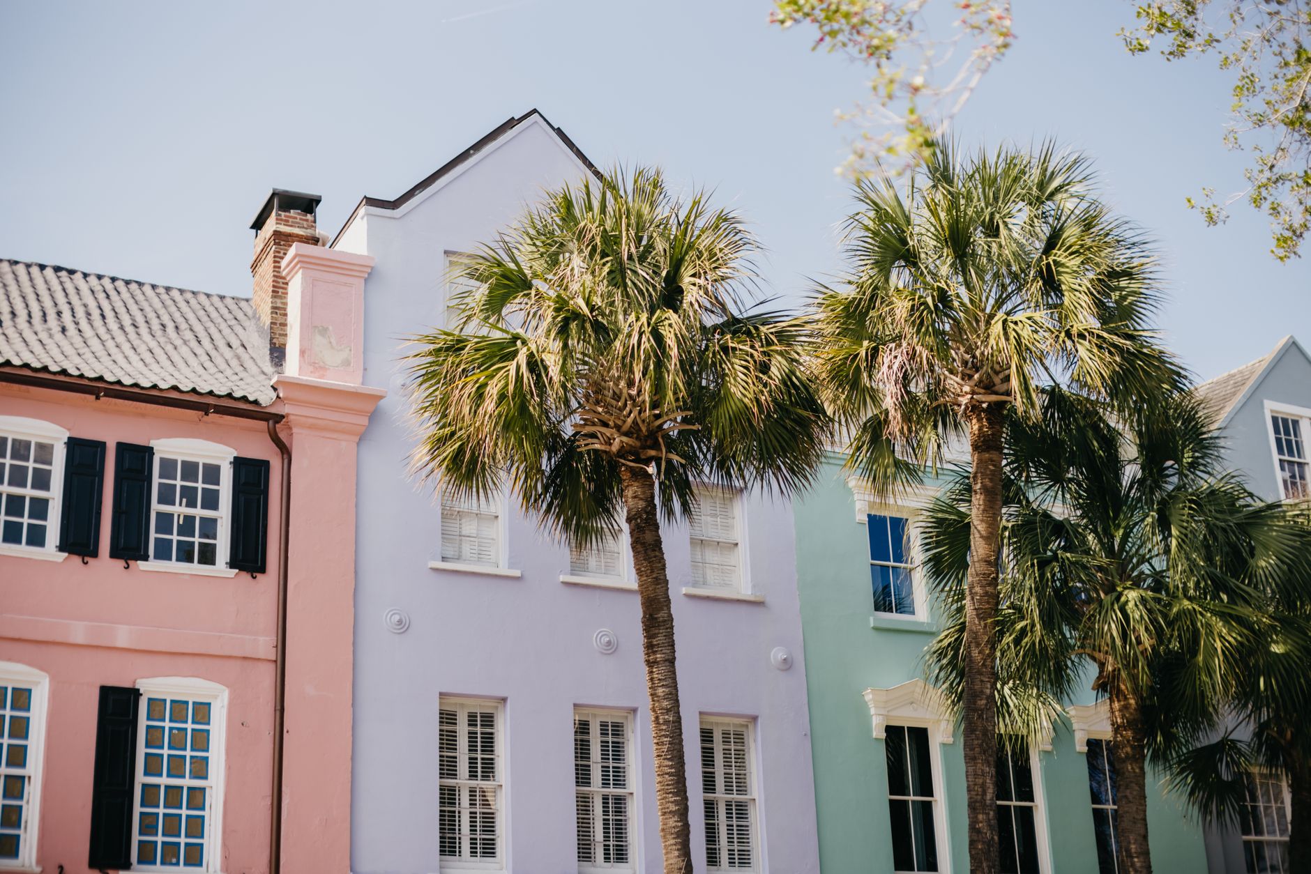Vibrant pastel homes and palm trees on a sunny street in Charleston.