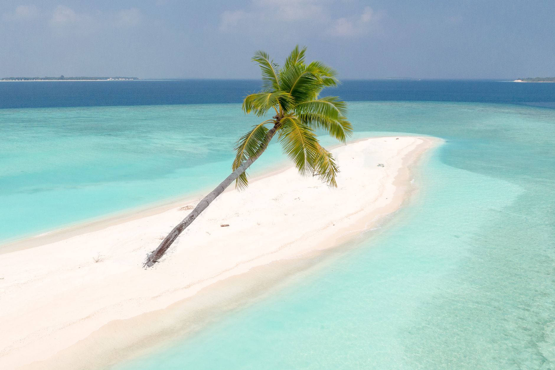 Serene tropical island in the Maldives with turquoise waters and a lone palm tree.