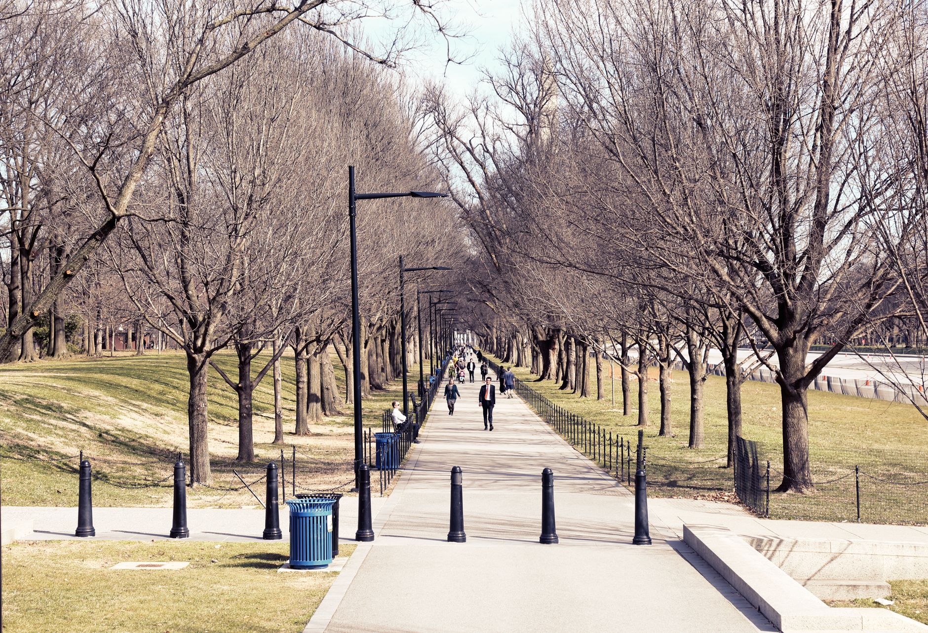 A serene walkway lined with leafless trees in Washington, DC, during winter.