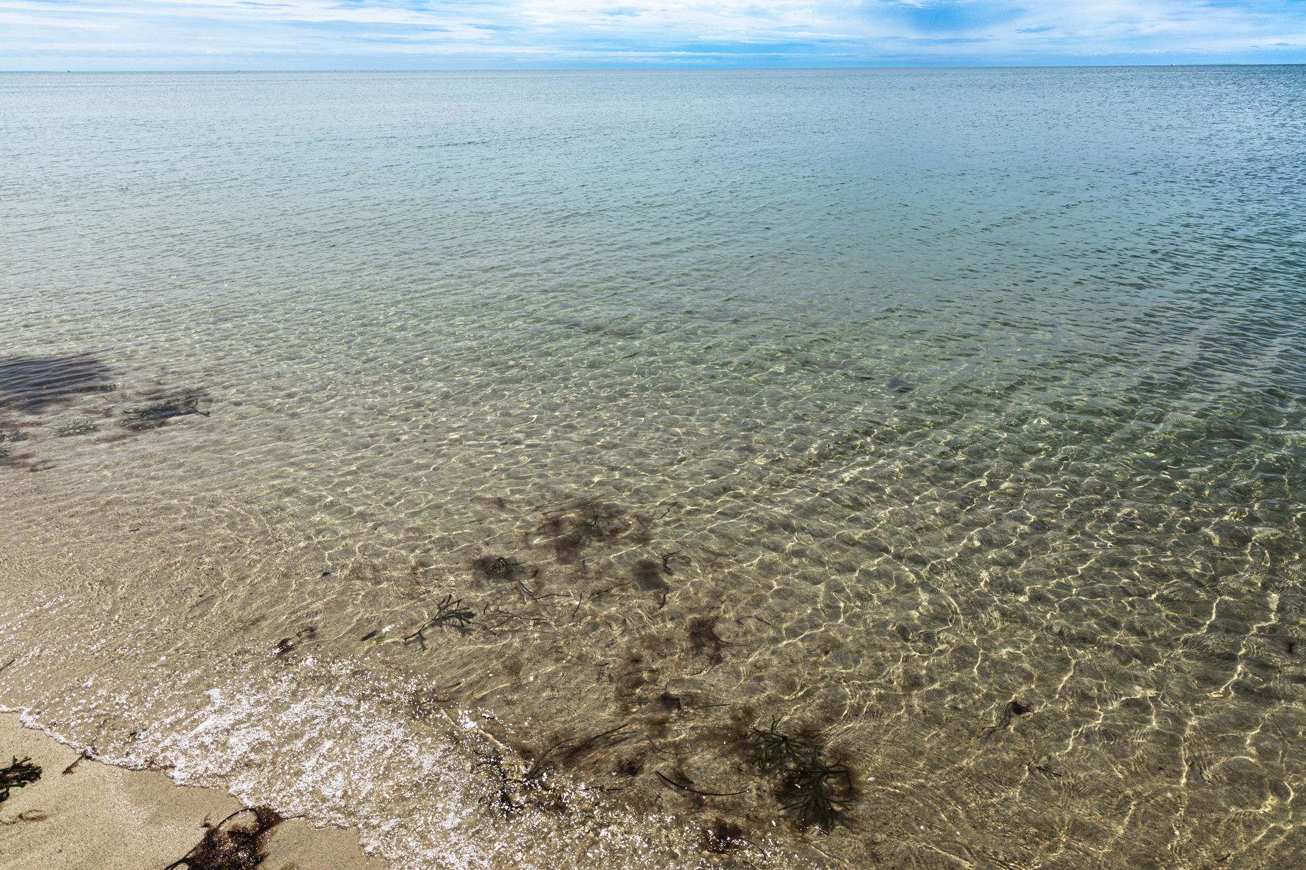 A serene view of the clear shoreline in Truro, MA, showcasing peaceful waters.