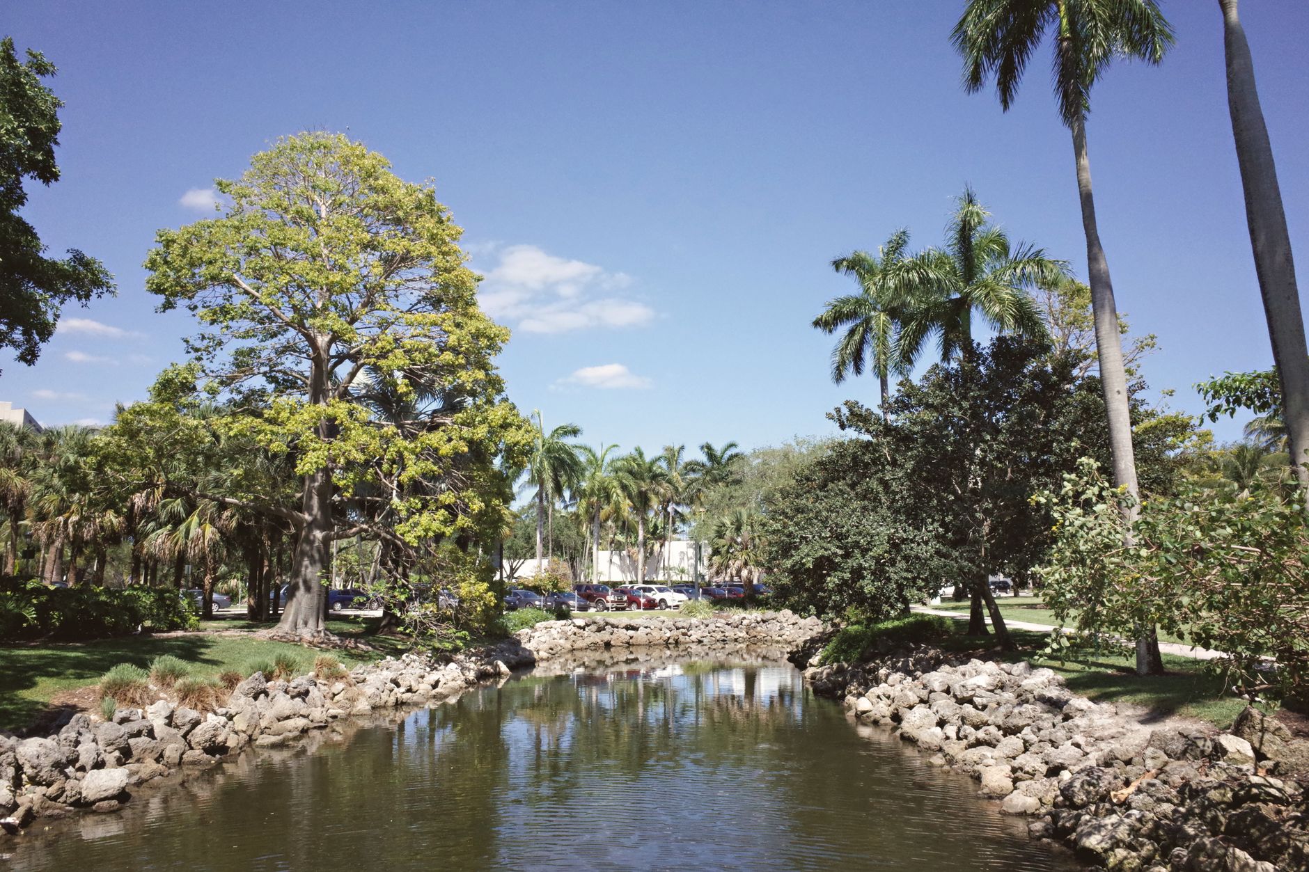 Beautiful and serene university campus landscape with lush greenery and water reflections in Coral Gables, Florida.
