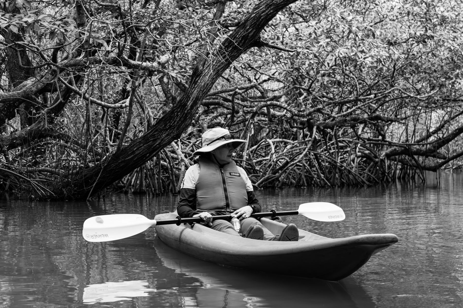Person kayaking through the picturesque mangroves of Jalcomulco, Veracruz.